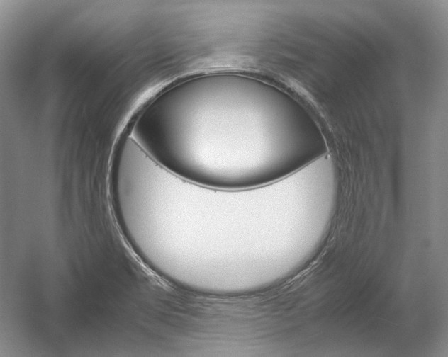 X0000057041469200509090803