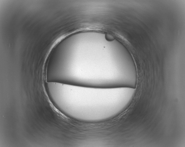 X0000057041471200509090803