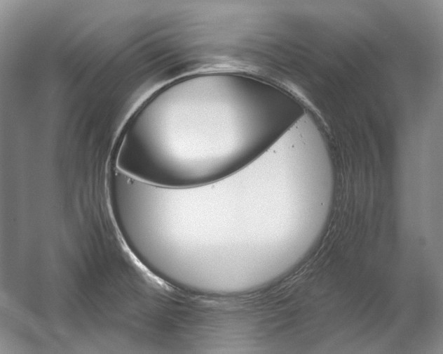 X0000057041476200509090803