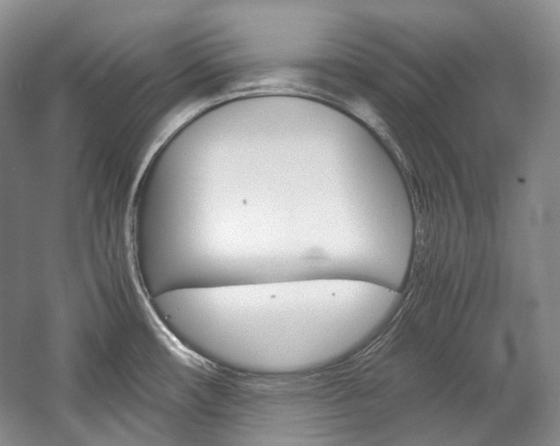 X0000057041482200509090803