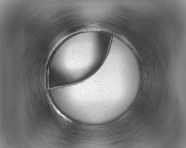 X0000057041484200509090803