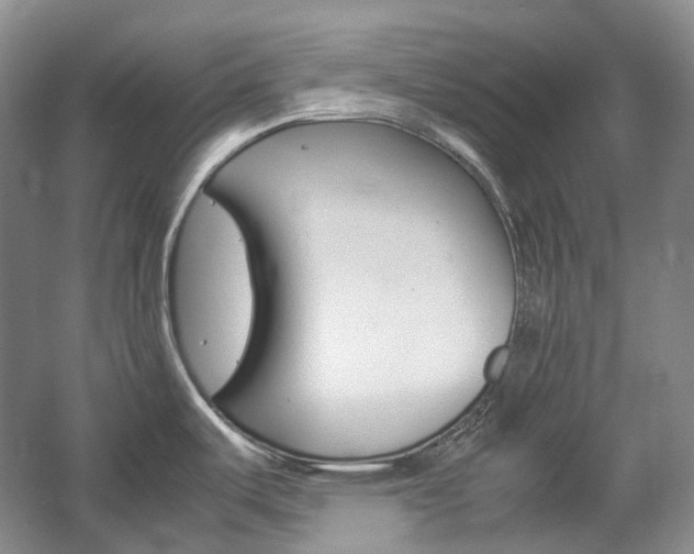 X0000057041487200509090803