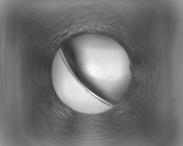 X0000057041490200509090802