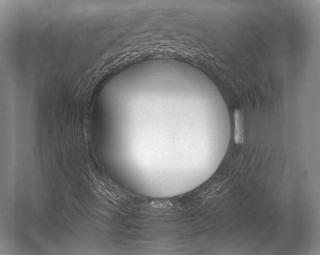 X0000057041491200509090802