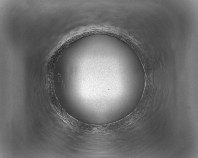 X0000057041496200509090802