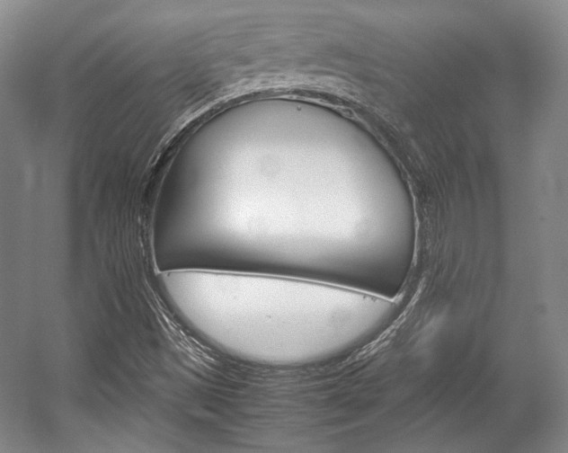 X0000057041497200509090802