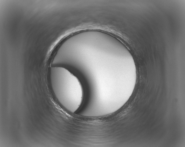 X0000057041502200509090803