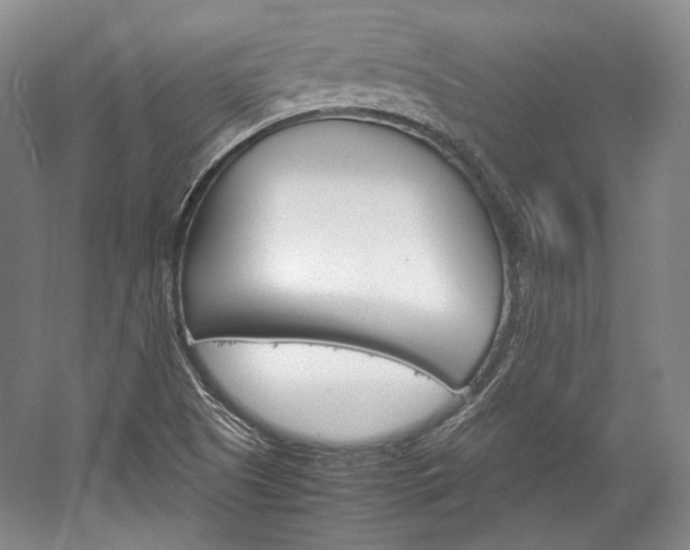 X0000057041505200509090803