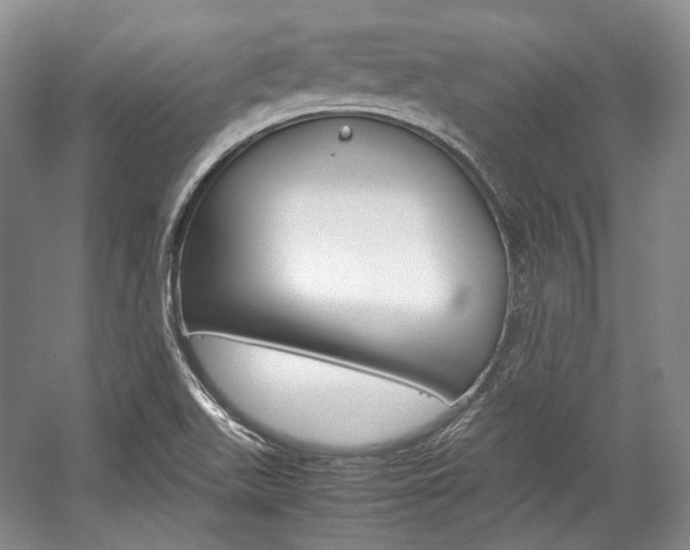X0000057041511200509090803