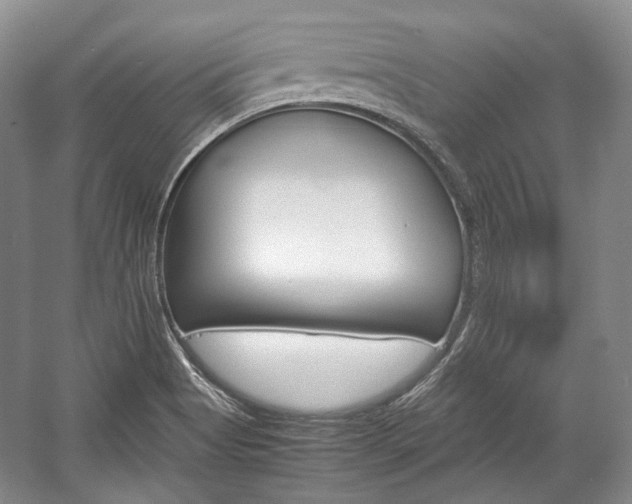 X0000057041513200509090803