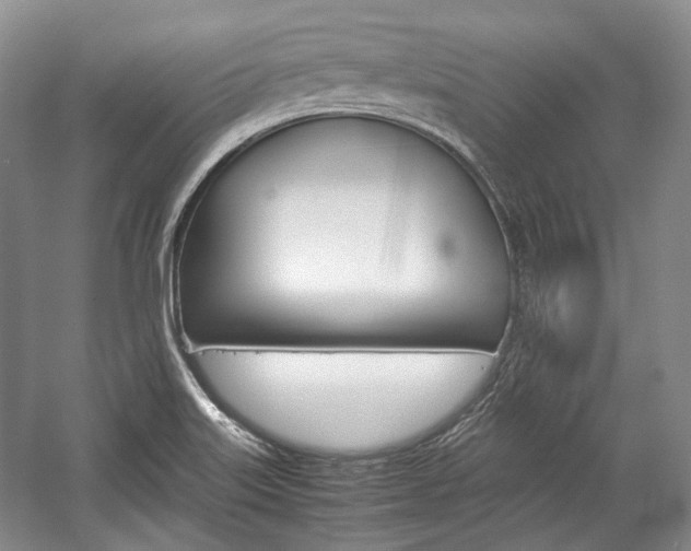 X0000057041515200509090803
