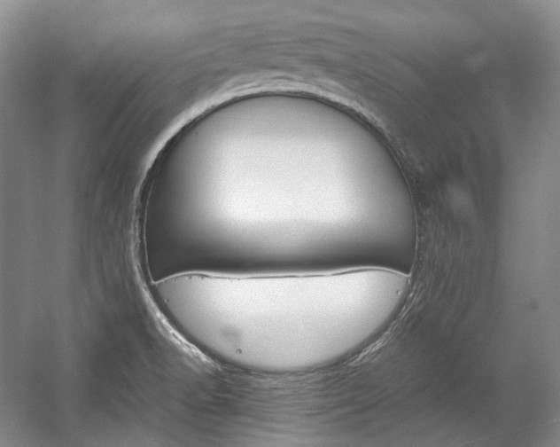X0000057041518200509090803