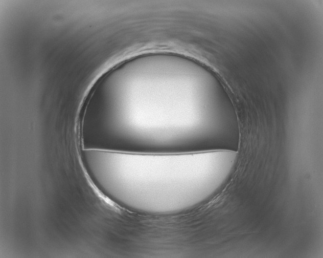 X0000057041519200509090803
