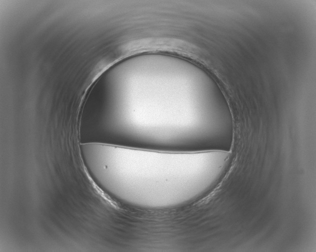 X0000057041521200509090803