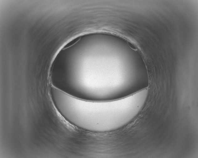 X0000057041524200509090803