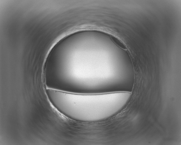 X0000057041527200509090803