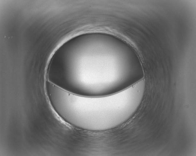 X0000057041528200509090803