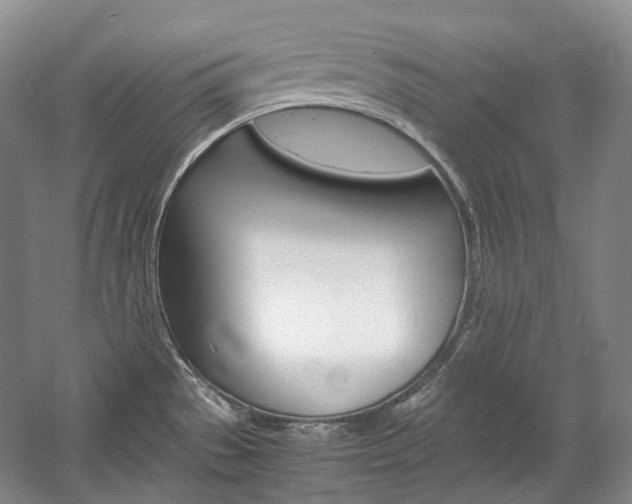 X0000057041529200509090803