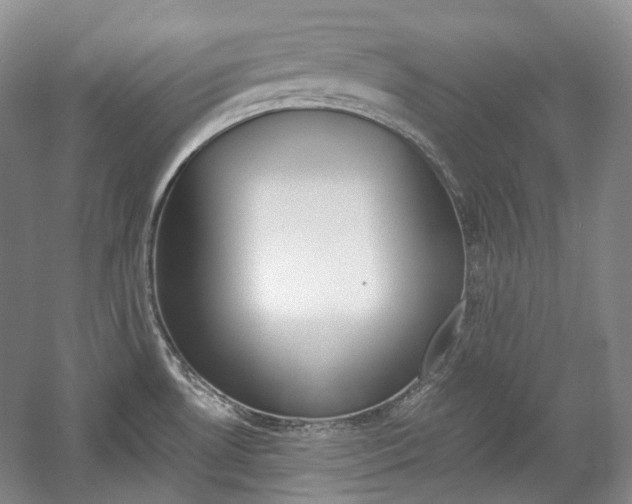 X0000057041530200509090803