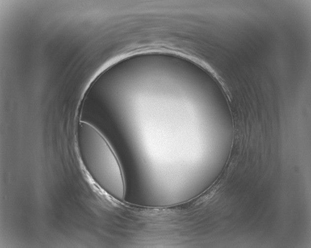 X0000057041534200509090803