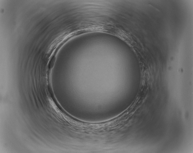 X0000057040002200509091118