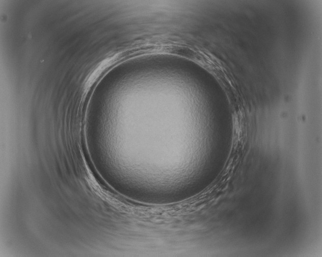 X0000057040003200509091118