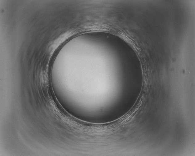 X0000057040008200509091118