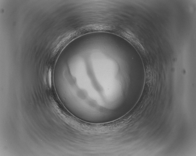 X0000057040014200509091118
