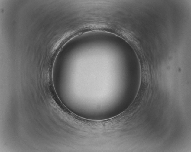 X0000057040015200509091118