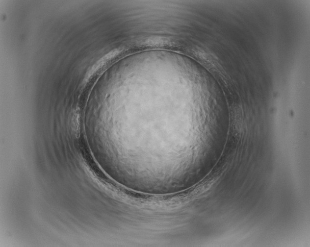 X0000057040016200509091118