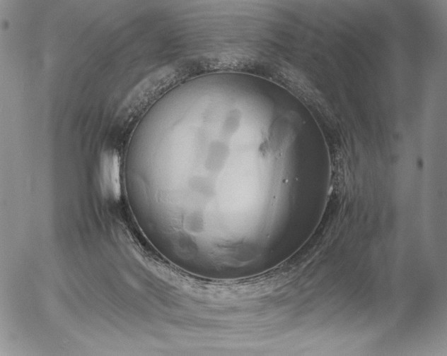 X0000057040022200509091118