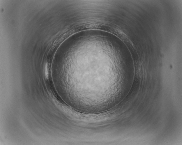 X0000057040026200509091118