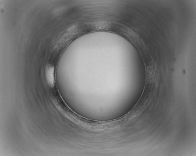 X0000057040028200509091118