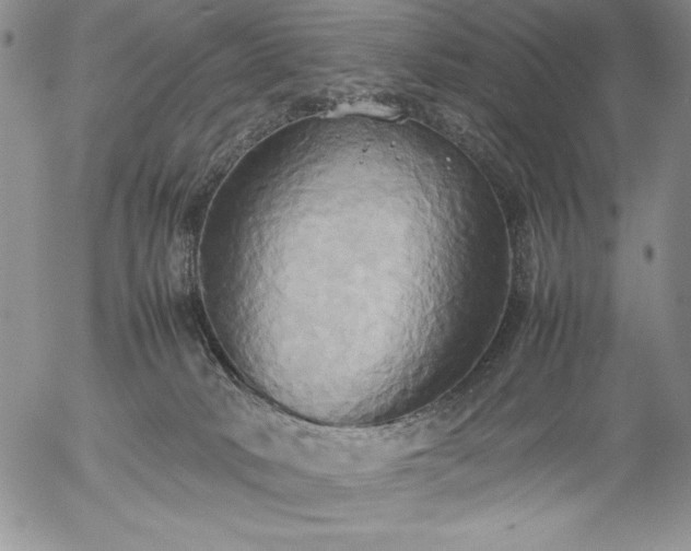 X0000057040034200509091117