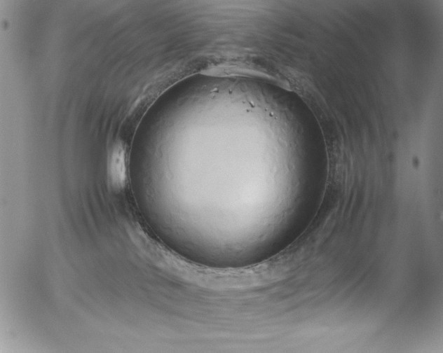 X0000057040042200509091117