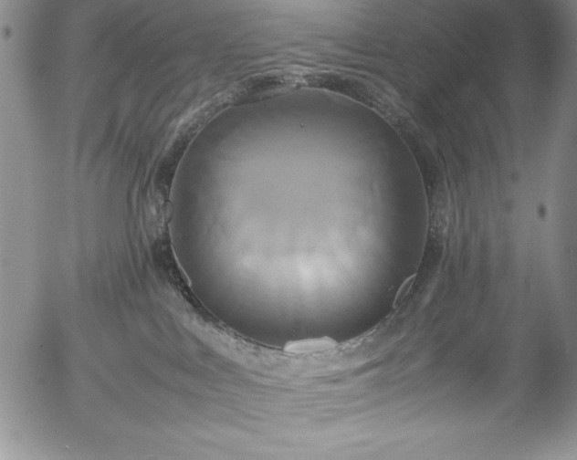 X0000057040043200509091117