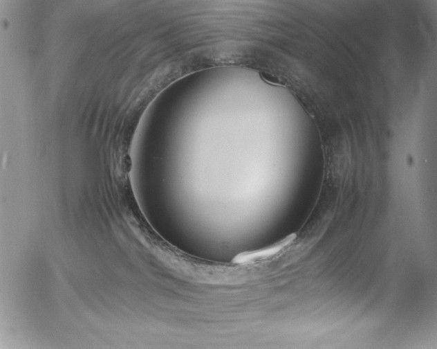 X0000057040044200509091117