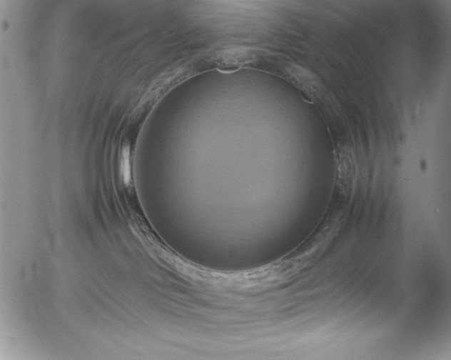 X0000057040046200509091117