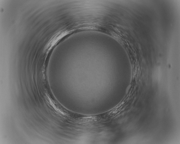 X0000057040050200509091116