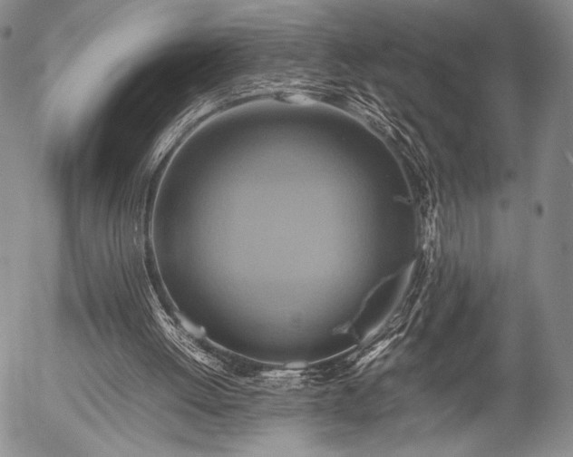 X0000057040052200509091116