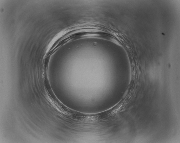 X0000057040056200509091117