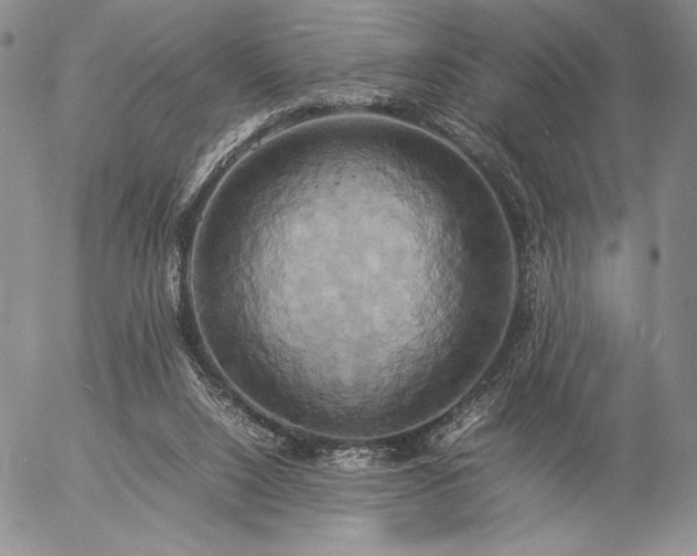 X0000057040064200509091117