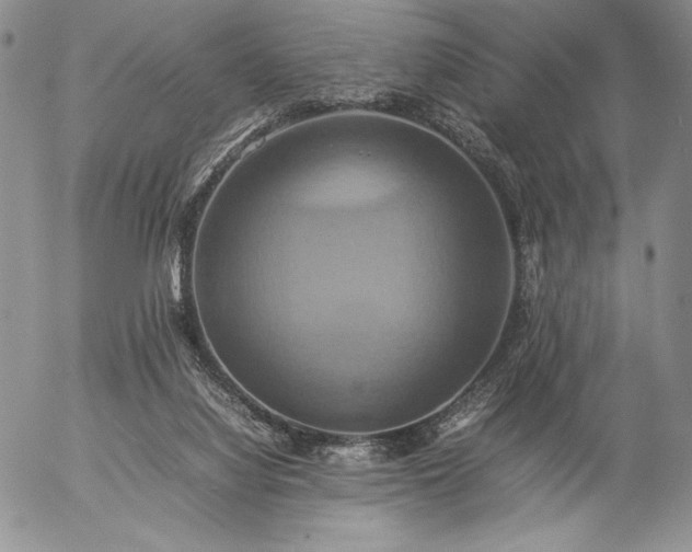 X0000057040068200509091117
