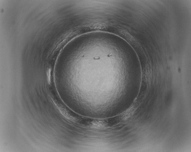 X0000057040070200509091117