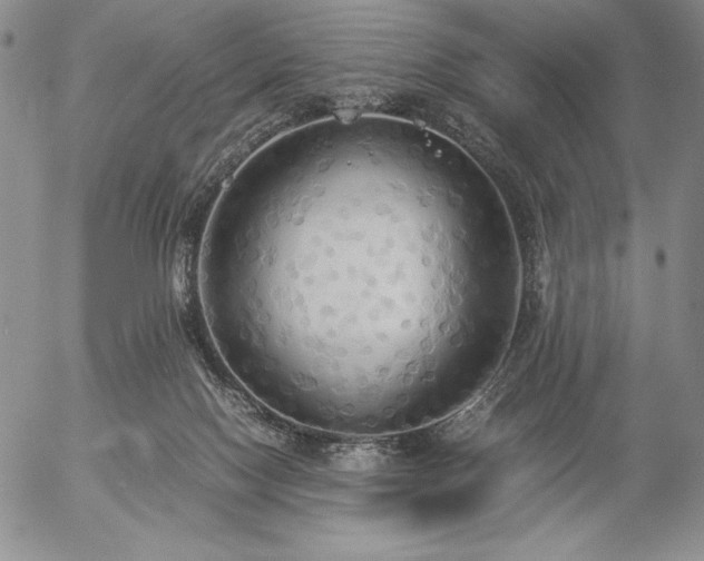 X0000057040074200509091117