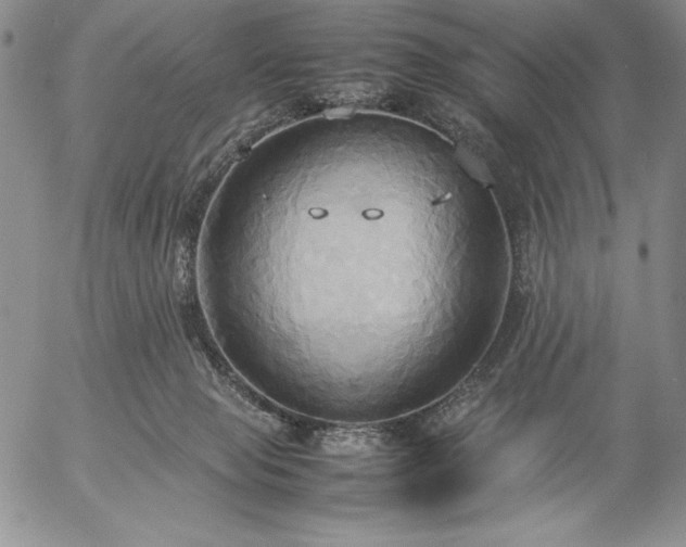 X0000057040077200509091117