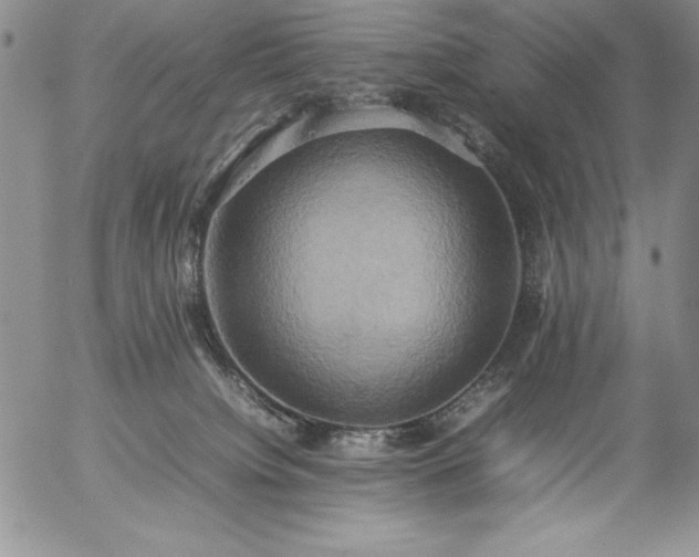 X0000057040084200509091117