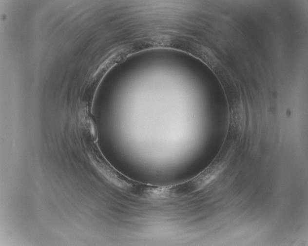 X0000057040092200509091117