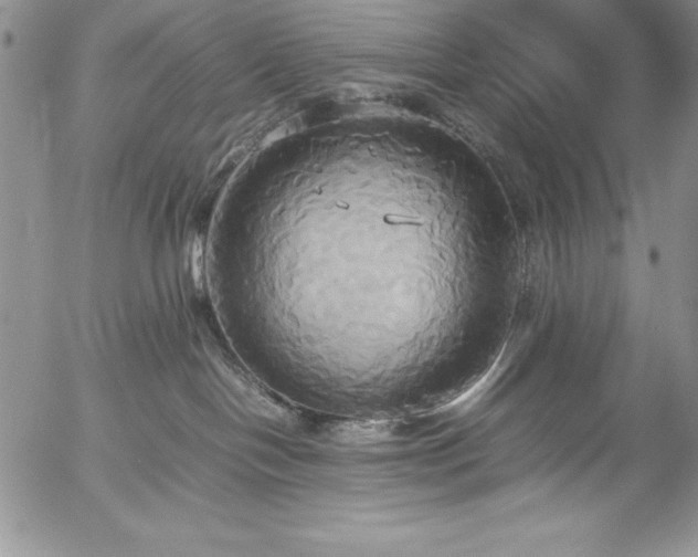 X0000057040094200509091117