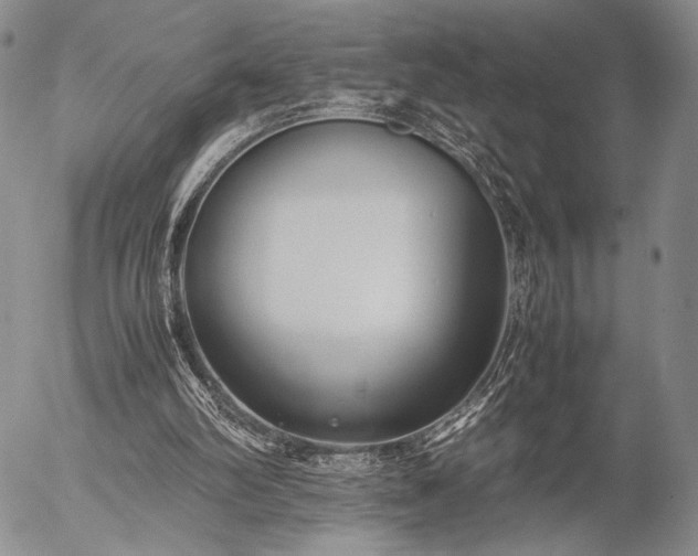 X0000057040102200509091116